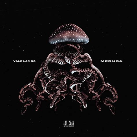 camicia versace medusa canzone|Significato di Medusa di Vale Lambo .